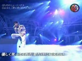 Gackt - 2007 02 09 -No ni saku hana no you ni