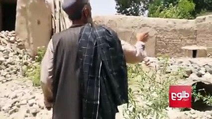 وضعیت ولسوالی سیدآباد ولایت وردک پس از آتش‌بس میان حکومت و طالبان؛ دو طرف جنگ در صلح و آرامش به سر می‌برند. بیشتر در گزارشی از تمیم حمید