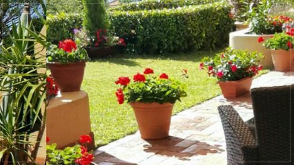 A vendre - Appartement - Chernex (1822) - 3.5 pièces - 84m²