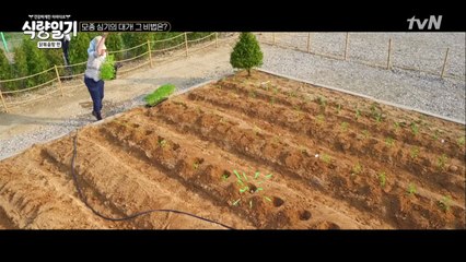 장훈의 신개념 농사법, 일명 자유투 농법!!