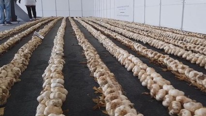 Watch: Greek woman breaks world record for longest garlic braid