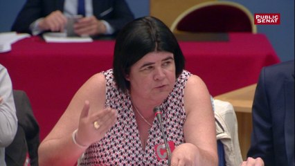 Texte avenir professionnel : Chantal Richard (CFDT), inquiète d'un nouveau type de CDD