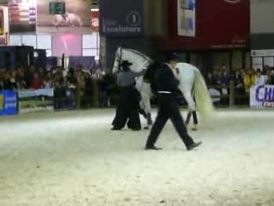 salon du cheval 2007