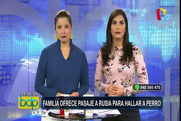 Chiclayo: familia ofrece un pasaje al mundial por mascota desaparecida