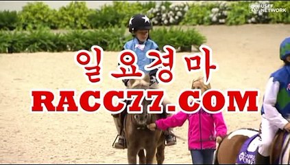 경마 예상 지존 대회 , 경마왕 , RACC77.CoM 경마예상