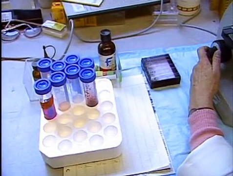 Phenomenon The Lost Archives S01 E08 An Unknown Encounter