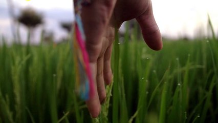 Touching Piano, Cello and Orchestral Strings