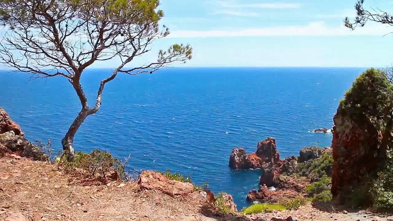 A louer - Appartement - CARQUEIRANNE (83320) - 2 pièces - 42m²