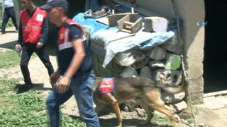 Leyla için Ankara’dan kadavra ve ceset arama köpeği getirildi