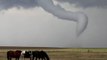 Horses Graze as Funnel Cloud Forms Behind Them Near Denver