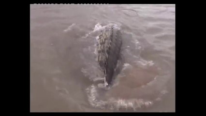 Ne jamais pecher dans des eaux troubles... Surtout si il y a des crocodiles