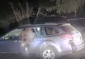 California Sheriff's Deputy Breaks Car Window to Free Trapped Bear
