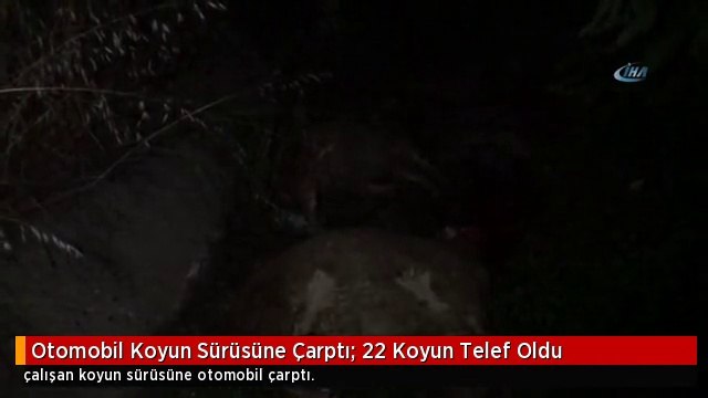 Otomobil Koyun Sürüsüne Çarptı: 22 Koyun Telef Oldu