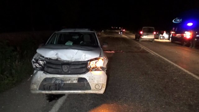 Otomobil koyun sürüsüne çarptı: 22 koyun telef oldu