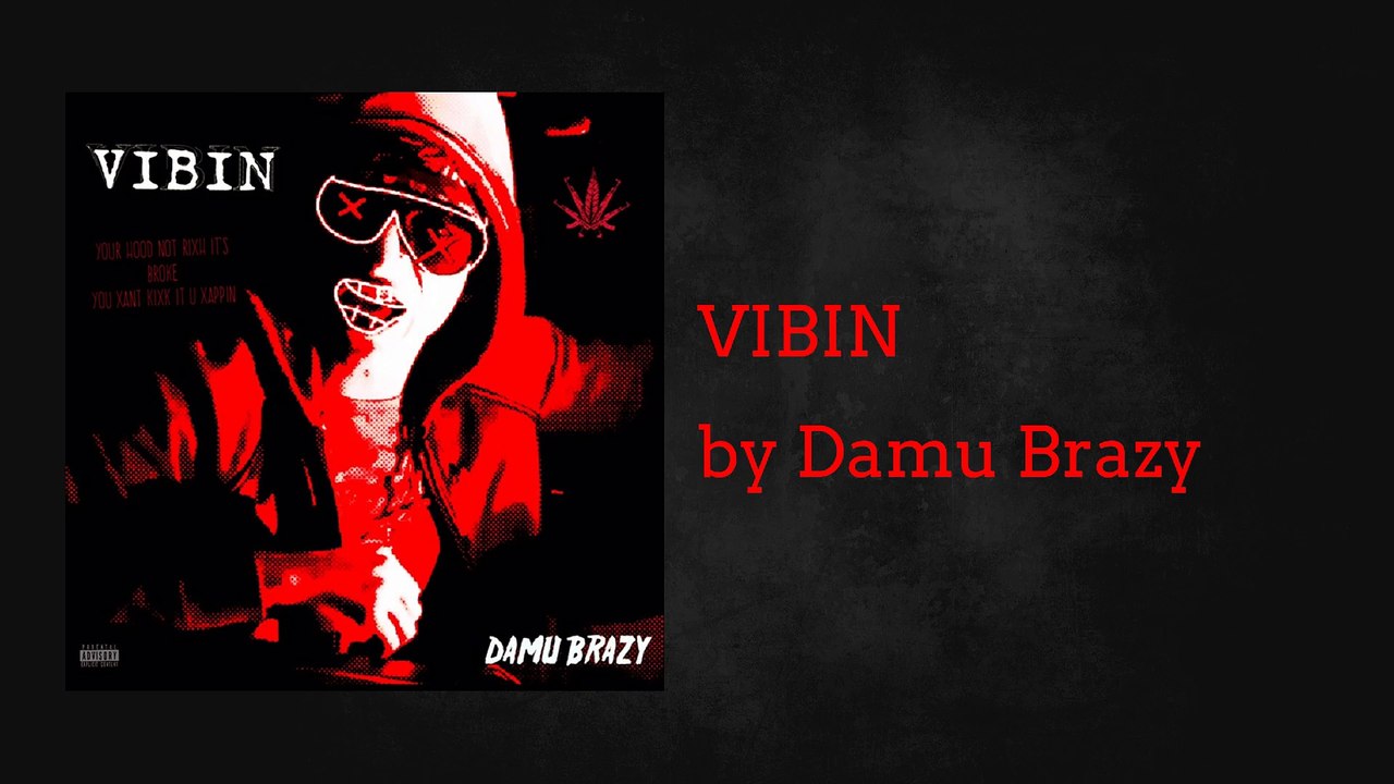VIBIN - Damu Brazy