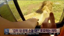 [별별영상] '감히 내 몸에 손을 대?' 포효하는 사자