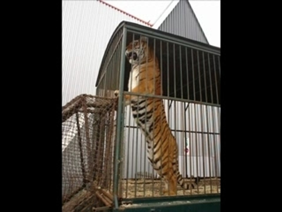 noël pour tous 2005 Il Florilegio