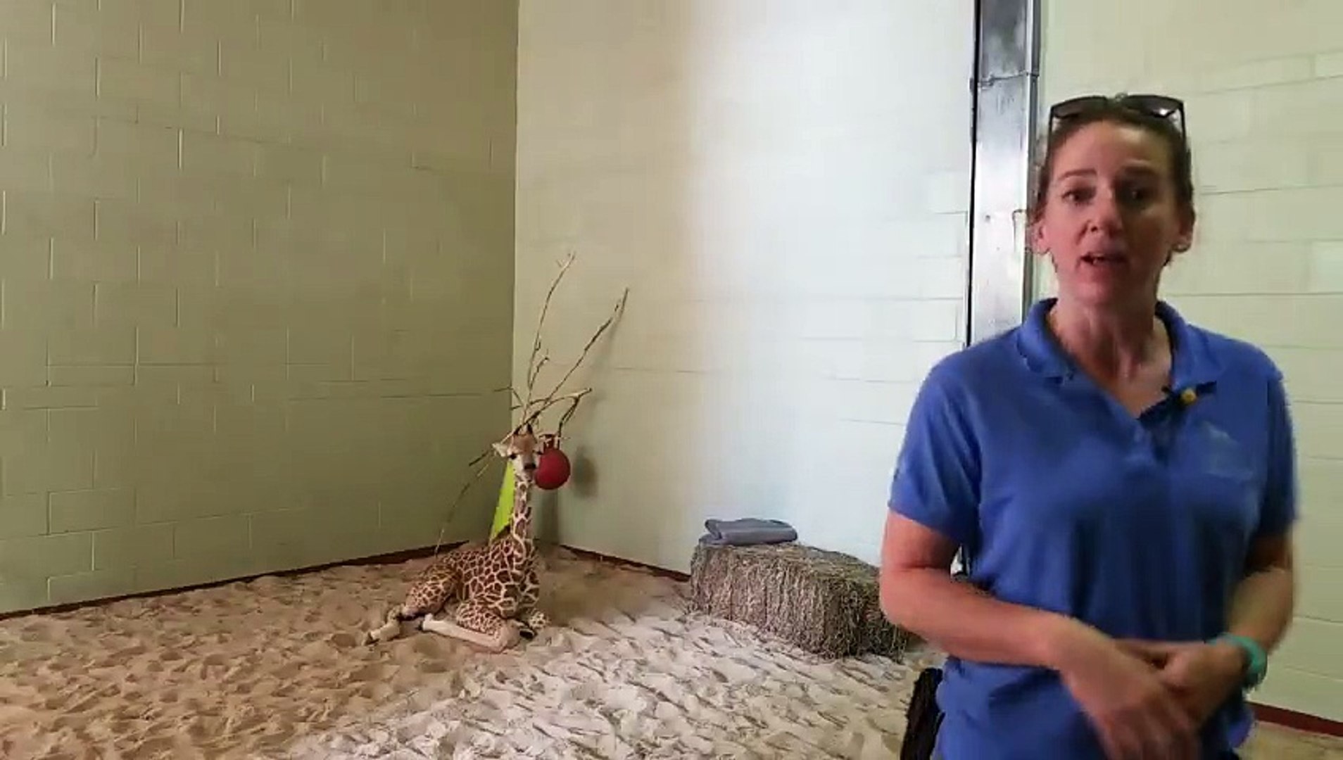 ⁣Penny the Giraffe Update Today
