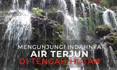 Mengunjungi Indahnya Air Terjun di Tengah Hutan