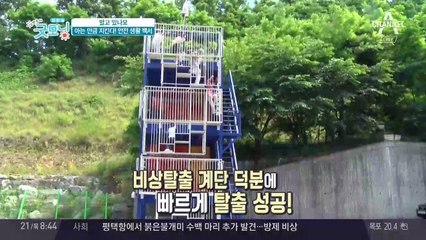 화재 대비부터 해충 관리까지, 안전 생활 백서!