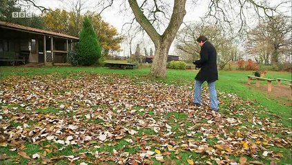 BBC Secrets Of Bones 4 of 6 Sensing The World 2014