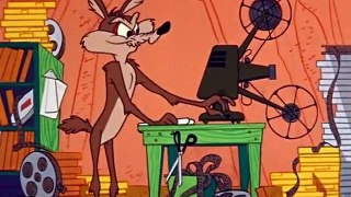 Wile E. Coyote And Road Runner - (Ep. 22) - Adventures Of The Road Runner