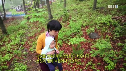 한국기행 - Korea travel_심심산골, 심심해서 좋아 4부 우리들의 비밀기지_#001