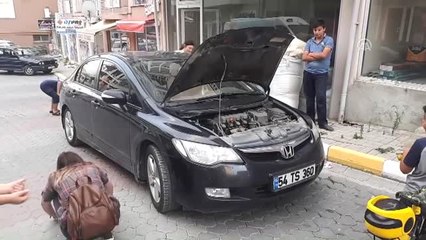 Otomobilin Motor Kısmına Giren Kedi Kurtarıldı