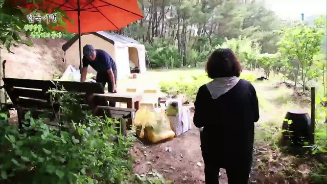 한국기행 - Korea travel_심심산골, 심심해서 좋아 4부 우리들의 비밀기지_#002