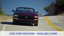 Ford Mustang Little Elm TX | 2018 Ford Mustang The Colony TX