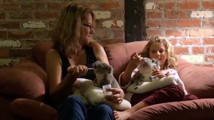 LIVE: We’re live with Ali and Izzy Bee to answer all your questions about their episode of Dodo Heroes on Animal Planet!