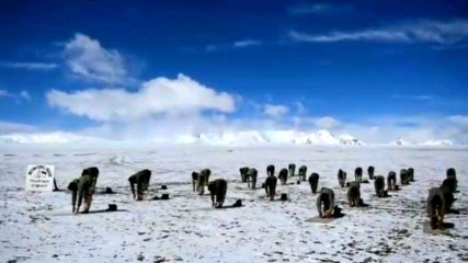 World Yoga Day : Indian Army performs Surya Namaskar at 18,000 feet in Ladakh | Oneindia News