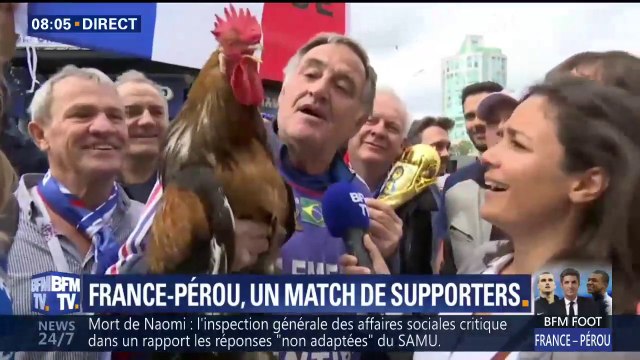 Mondial: le coq Balthazar prêt à en découdre avec les 20.000 supporters péruviens