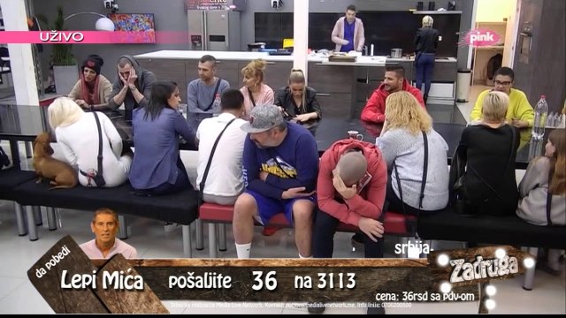 ONA JE ZADRUGAR KOJI JE OSVOJIO SRCA PUBLIKE Žuta je trenutno najpoznatiji pas u REGIONU