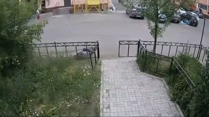 Rusya'da Alkollü Sürücü Dehşeti