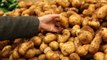 Fiyatı Yüzde 94 Zamlanan Patatesin Tanesi 1, Kilosu 6 TL'ye Fırladı