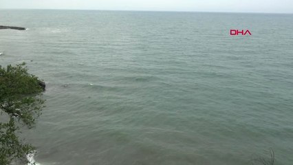 Tranzon Karadeniz'de Dalgalardan Elektrik Üretilecek Hd