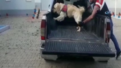 Başkale'de 38 Kilo 715 Gram Eroin Ele Geçirildi