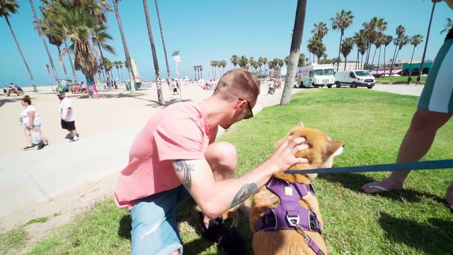 ON ROULE EN HARLEY DAVIDSON (Vlog Los Angeles 1)