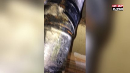 Un plombier a une très mauvaise surprise en changeant le tuyau d'évacuation des toilettes (Vidéo)