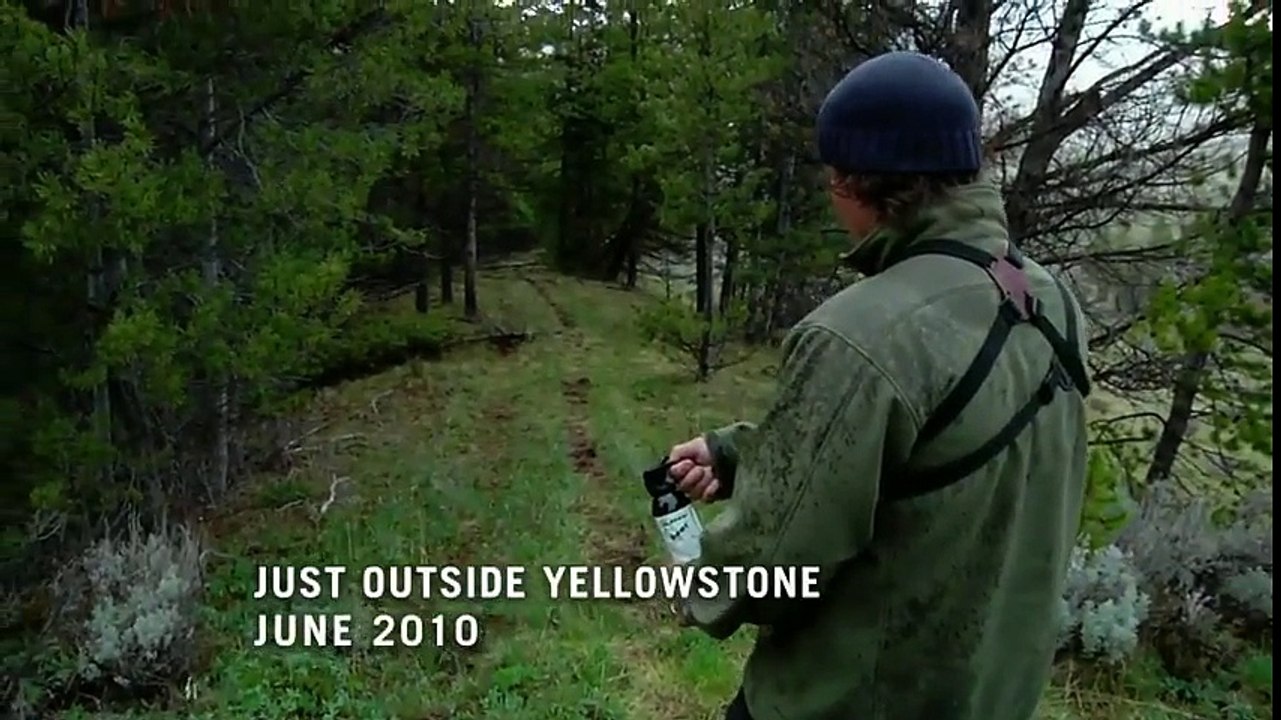 ดู America The Wild ซีซั่น 2 ตอน 6 ซับไทย