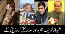 Shehbaz Sharif, Hamza Shehbaz and Saad Rafique are millionaires