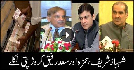 Shehbaz Sharif, Hamza Shehbaz and Saad Rafique are millionaires