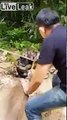 Des villageois sauvent ce chien de l'étreinte d'un python