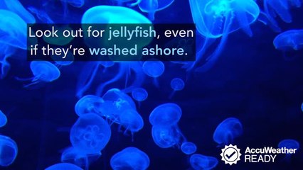 Be aware of these 3 summer beach dangers