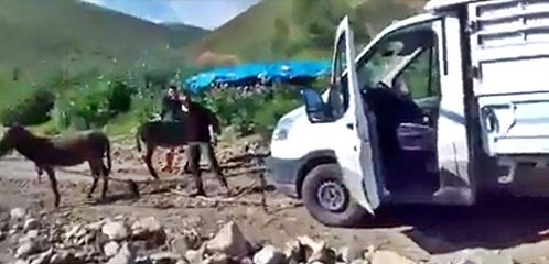 Yaylada Mahsur Kalan Aracı Eşekler Kurtardı