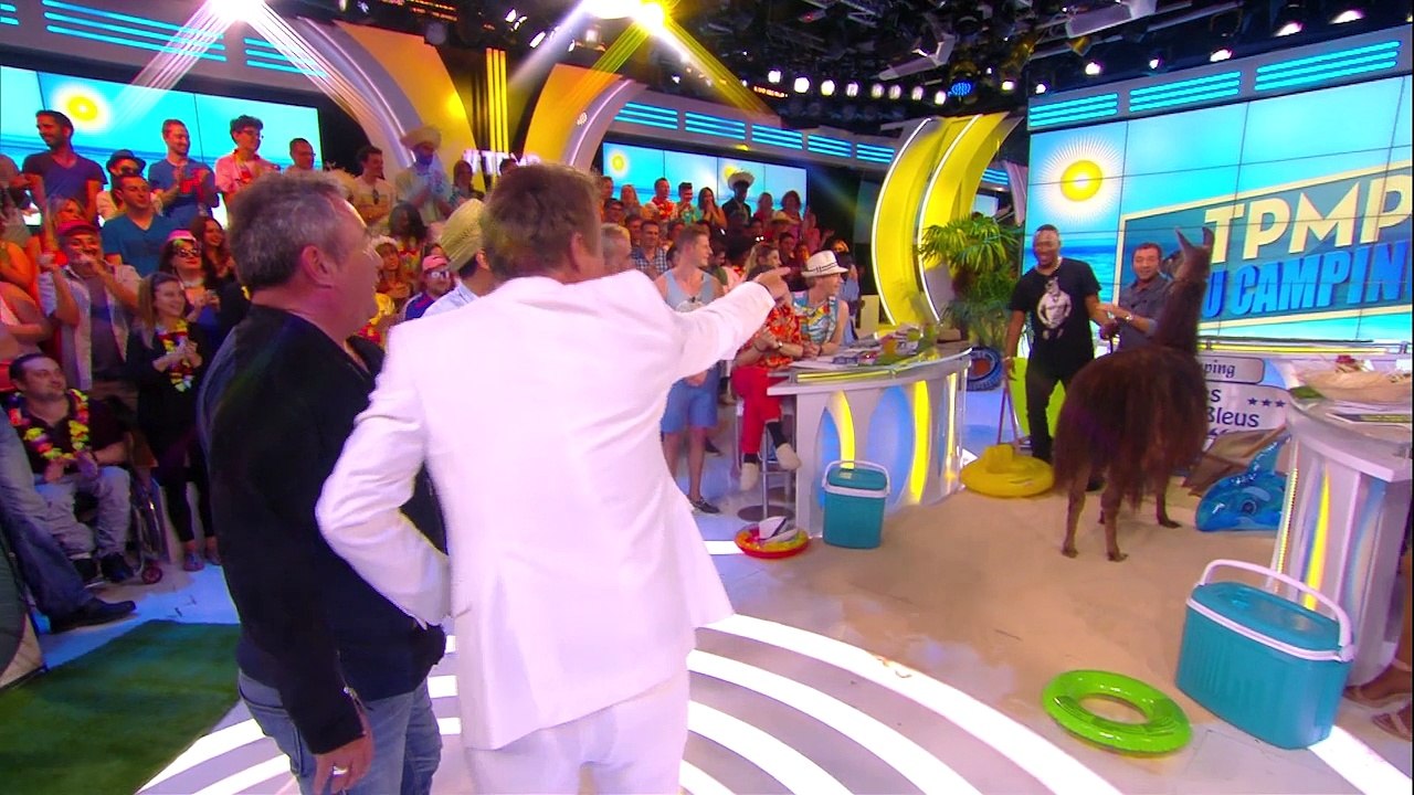 Il y a deux ans dans TPMP... Un lama s'incrustait sur le plateau de Cyril Hanouna (vidéo)