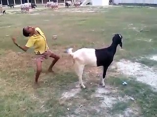 Jangal me mangal krte huye pakde gye