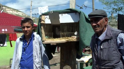 Kuşu kurtarmak isterken kollarını kaybeden çobandan insanlık dersi:'Hiç pişman olmadım”