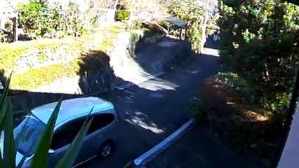 Event Data Recorder November #24 2017